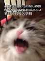 AAVEHEJEBEKSKSNBJJDDIWASNTPICKINGITBDJSBSJSJBDJSBSJBDJENEB