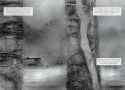 Heart of Darkness-038