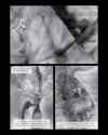 Heart of Darkness-052