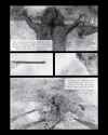 Heart of Darkness-088