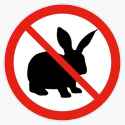 NO RABBITS