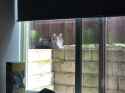 image0 (3)
