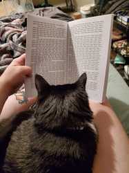 I read