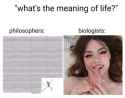 What&#039;s the meaning of life