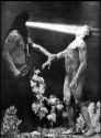 Hypnonsis - 1904
