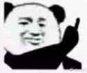 chinese smug panda middle finger