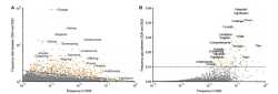 researchers-uncover-ho-2