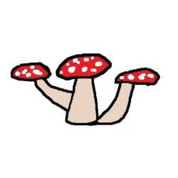 shrigga