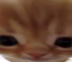 149 KB