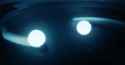 neutron stars have sex.gif