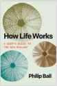 1.13 MB