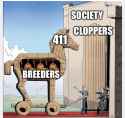 244 KB