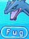 9 KB