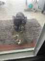 2.35 MB