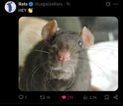 635 KB