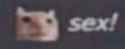 22 KB