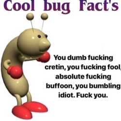 130 KB