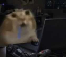 327 KB