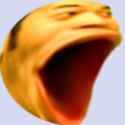 20 KB