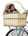 acguy basket