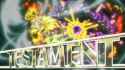 mpv-shot0071
