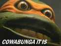 cowabungaitis