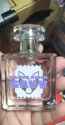 Gavv perfume