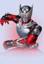 character_ryuki