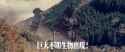 Shin Ultraman (1080p) (x265).mkv_snapshot_00.01.18.863