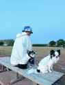 Yao and his dogs