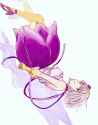 634d010c61fe3964837785342d3c0f6e