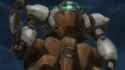 rodi_closeup