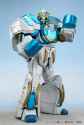 Polar robo