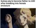 1729409372285531