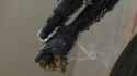 hakaider