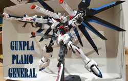 rising freedom with strike freedom colors