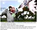 kira_shinn_horse