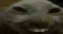 1736647467800077