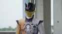 Zyuoh the world
