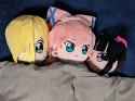 FIS rest
