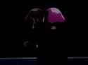 Haman_0083