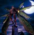 Doras SIC hero saga
