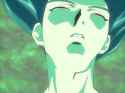 Green Evoluder