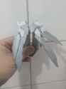 image_2025-06-25_220052727