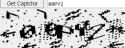 16 KB