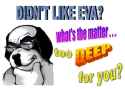 43 KB