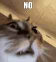 2.06 MB