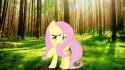 fluttershy_in_a_forest_by_thomastrainfan2006