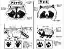 Raccoon and Tanuki