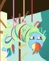 dashie pinata